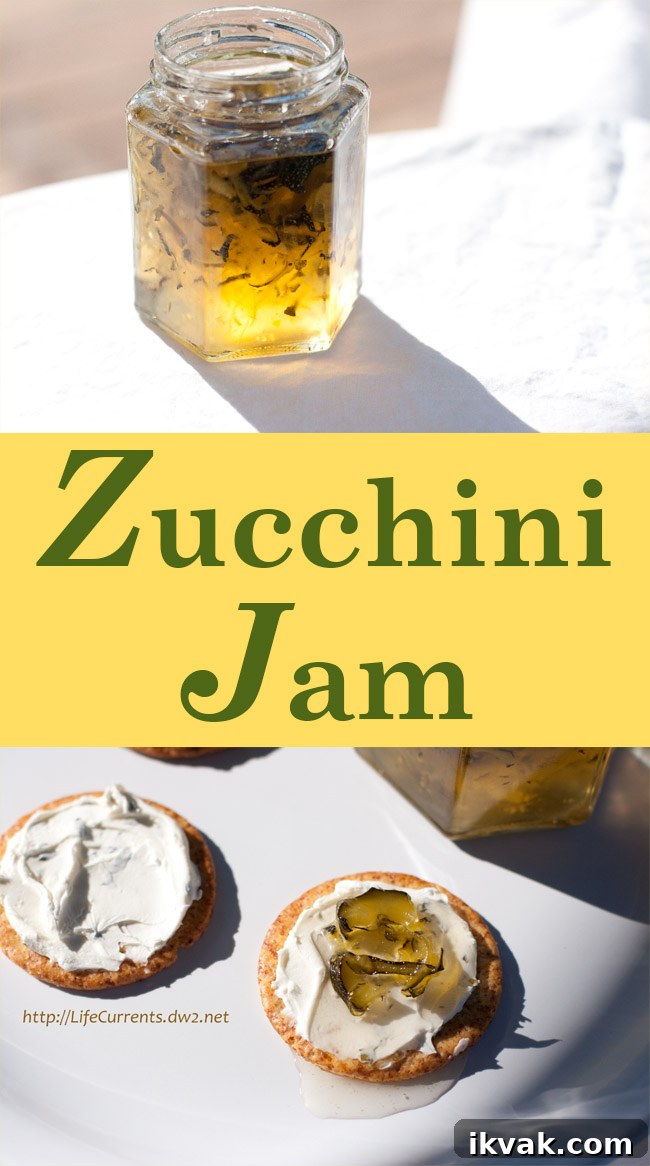 Zucchini Jam with a kick of Anaheim Chiles Zucchini Jam with a kick of Anaheim Chiles, this savory spread is part jam part pickle and all delicious! Serve it on crackers with cream cheese for a fun finger food appetizer. Or, spread it on a sandwich. long pin