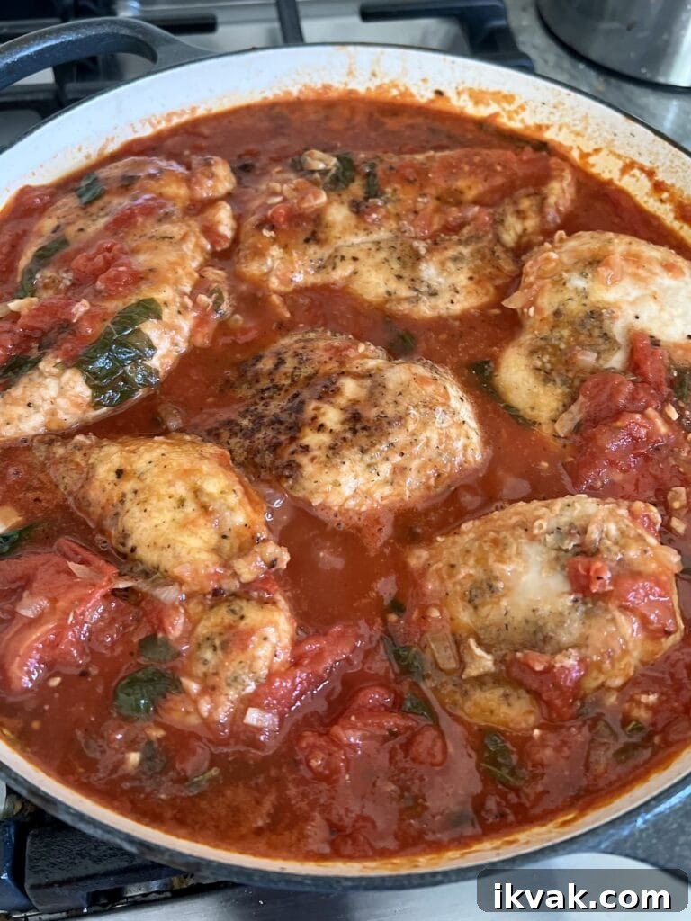 Chicken with Tomatoes simmering in tomato sauce.