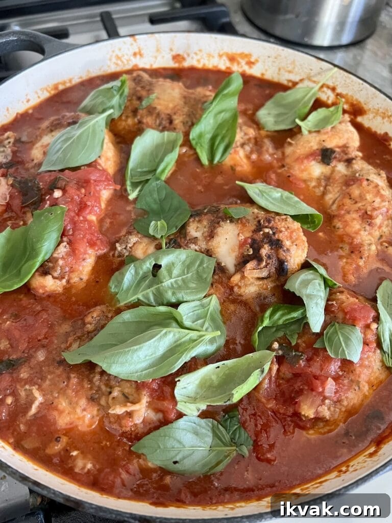 Adding basil leaves to the finished pomodoro chicken.