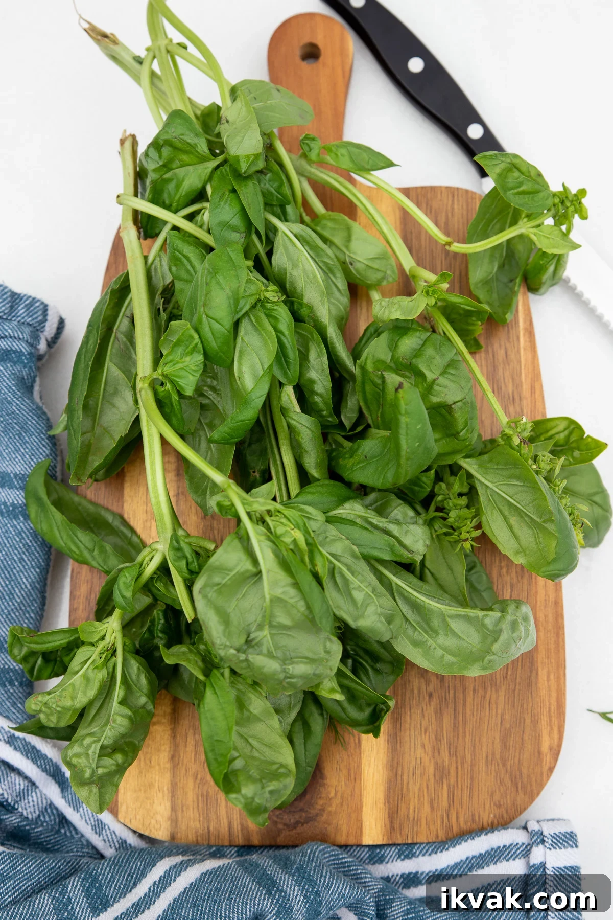 20 Flavorful Dill Substitutes for Cooking and Garnish 6 A bunch of fresh basil and a knife on a wooden board with a blue and white striped tea towel at the bottom.