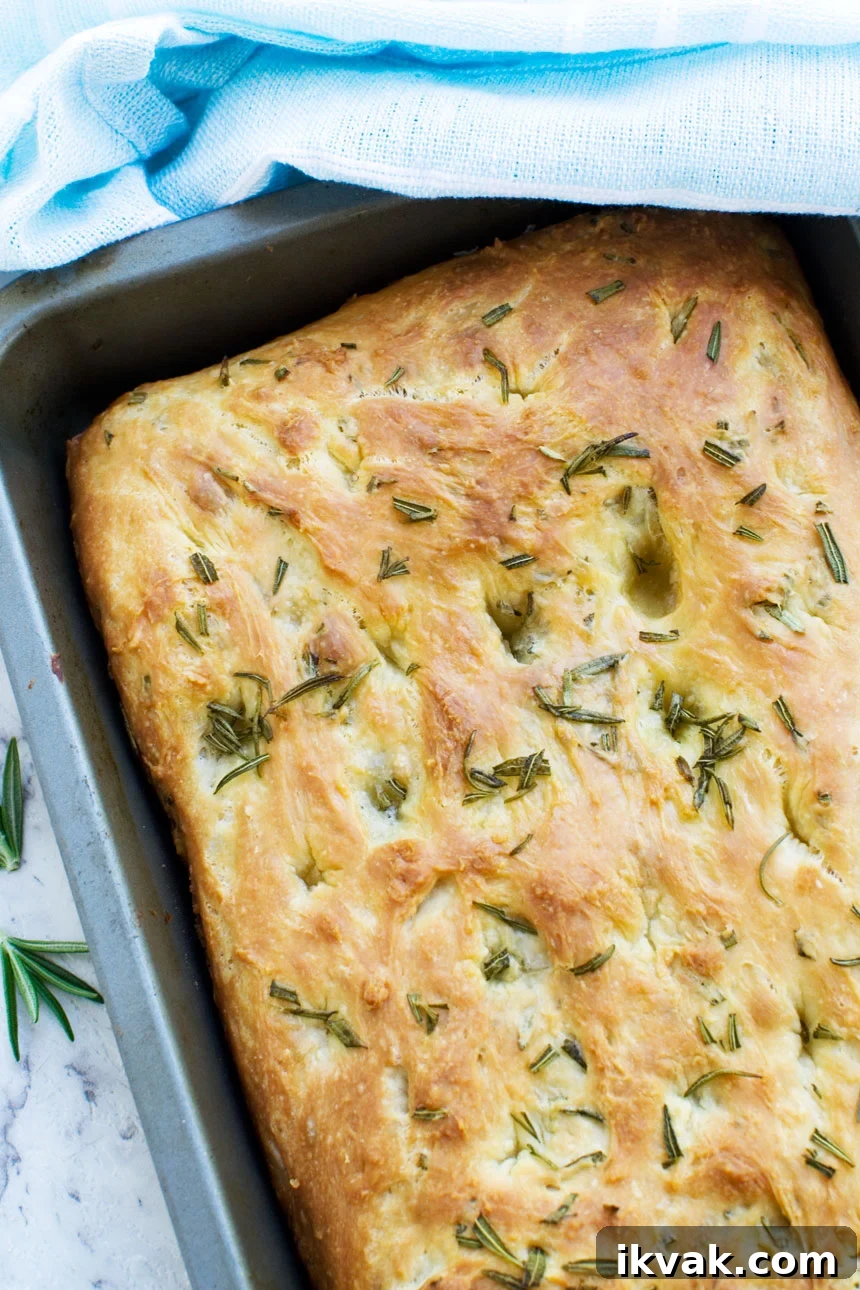 20 Flavorful Dill Substitutes for Cooking and Garnish 10 A pan of freshly baked Italian focaccia bread from above