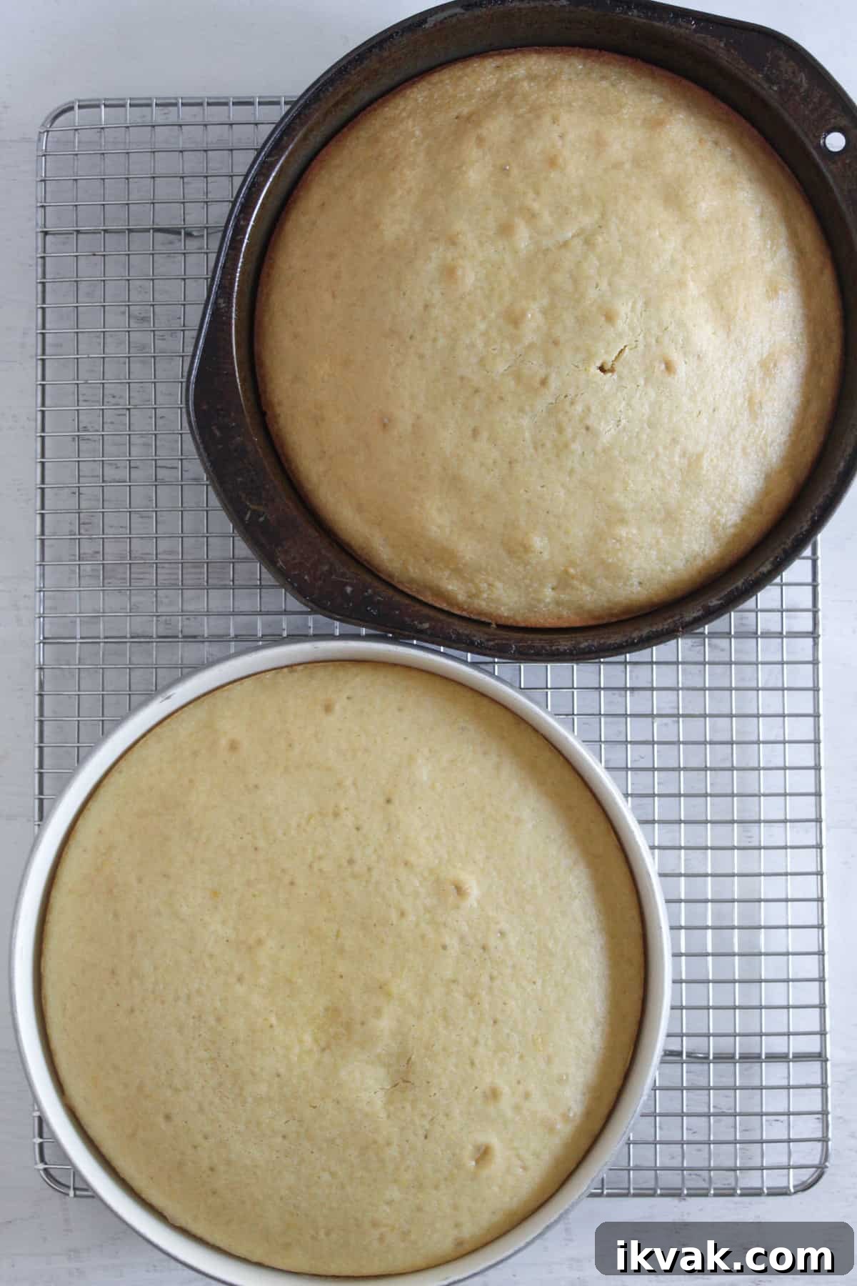 baked gluten-free lemon cake left to cool