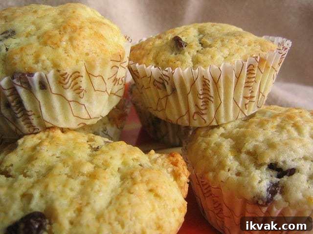 gluten-free lemon cranberry muffins