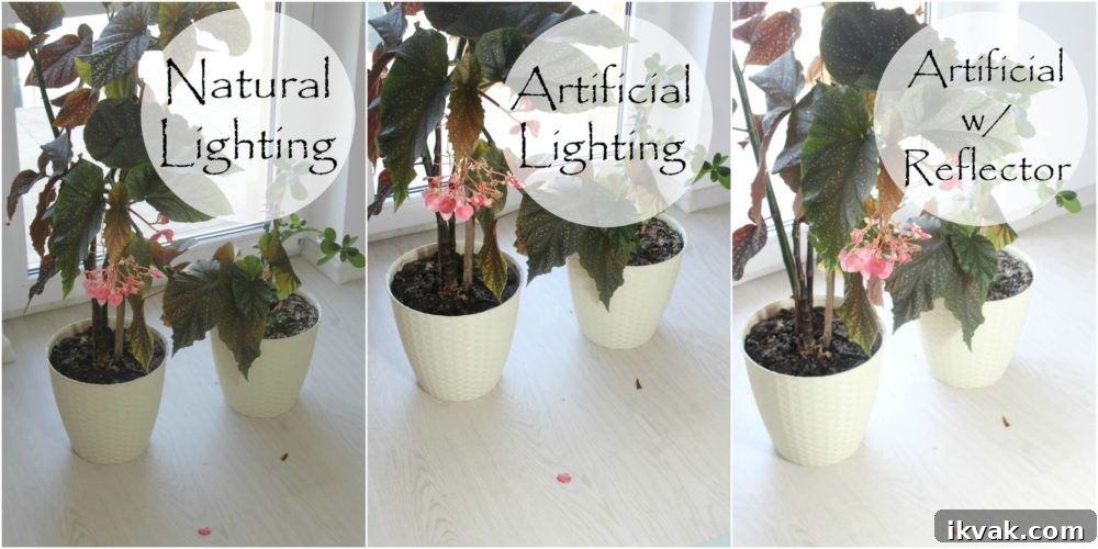 DIY Light Reflector