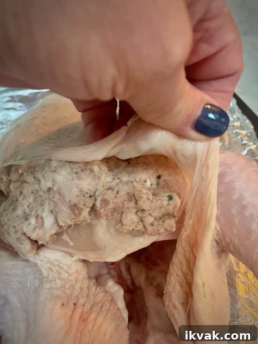 Christmas Roast Chicken That Rivals a Turkey 3 img 19831 2