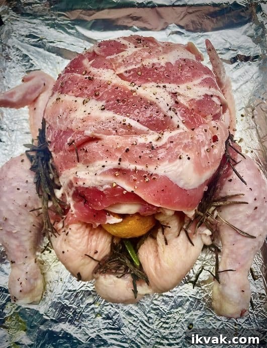 Christmas Roast Chicken That Rivals a Turkey 4 img 19831 3
