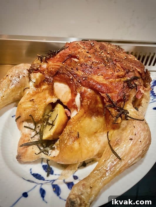 Christmas Roast Chicken That Rivals a Turkey 5 img 19831 4