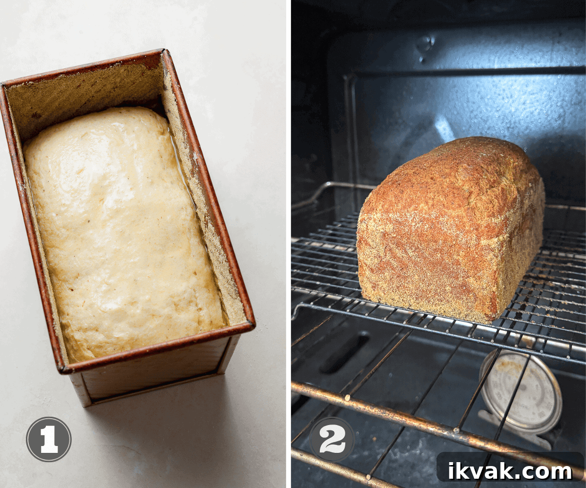 Gluten-Free Sandwich Bread Recipe for Soft, Everyday Loaves 8 img 19939 8