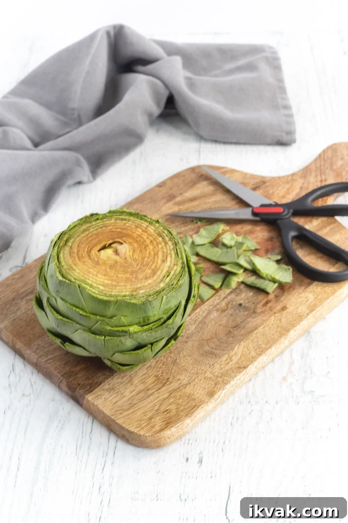 Mediterranean-Style Baked Artichokes with Lemon and Herbs 4 preparing an artichoke by cutting the tips of the leaves