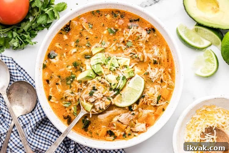 bowl of keto chicken enchilada soup with spoon holding up serving