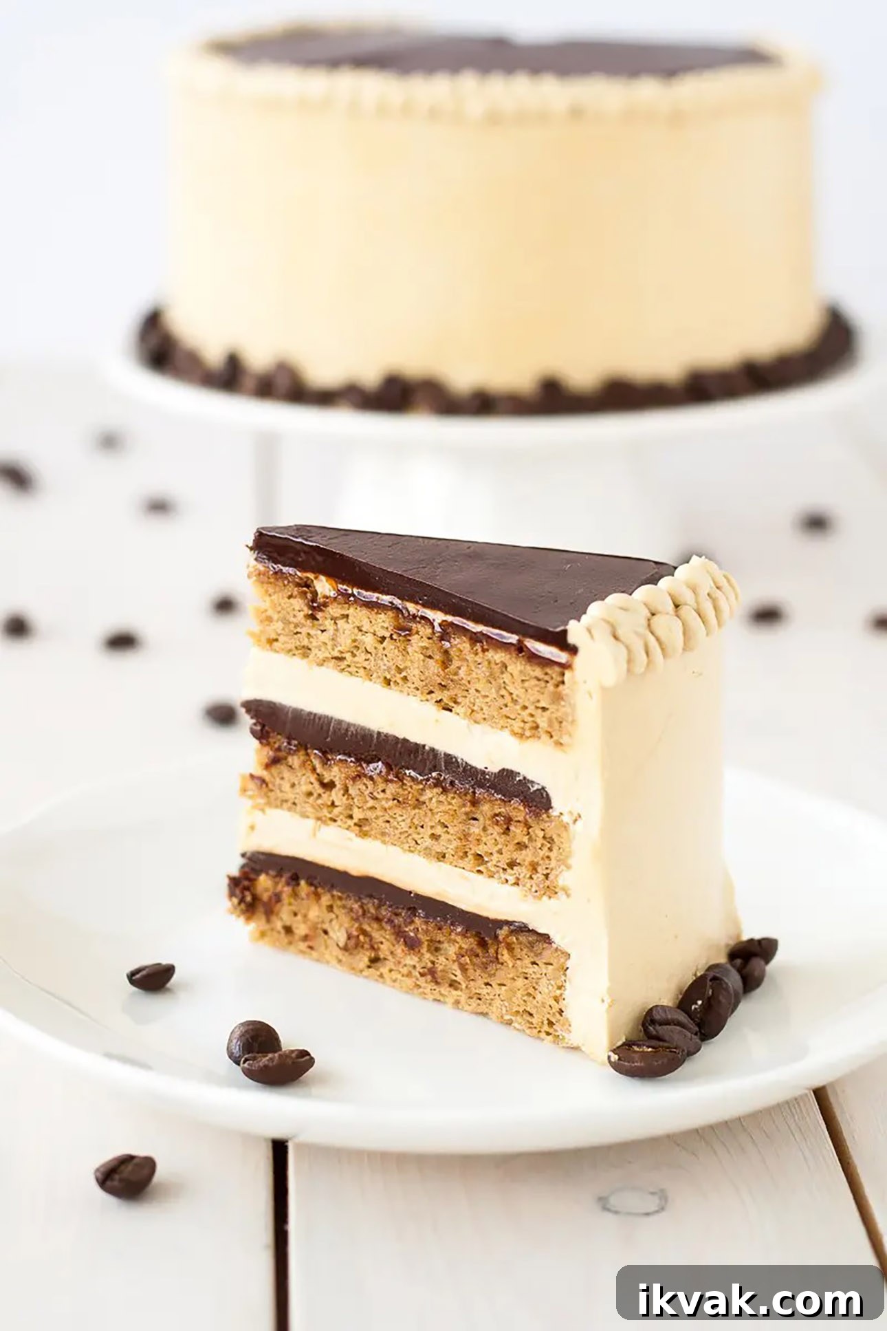 20 Classic French Desserts That Will Impress Your Guests 15 French Opera Cake by Liv For Cake