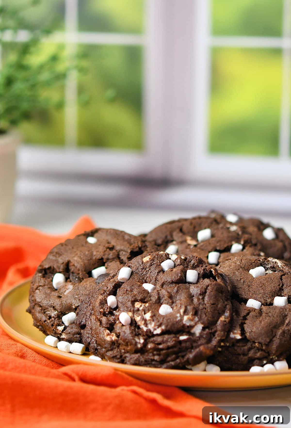 Marshmallow Chocolate Cookies in front of a window on a bright sunny day