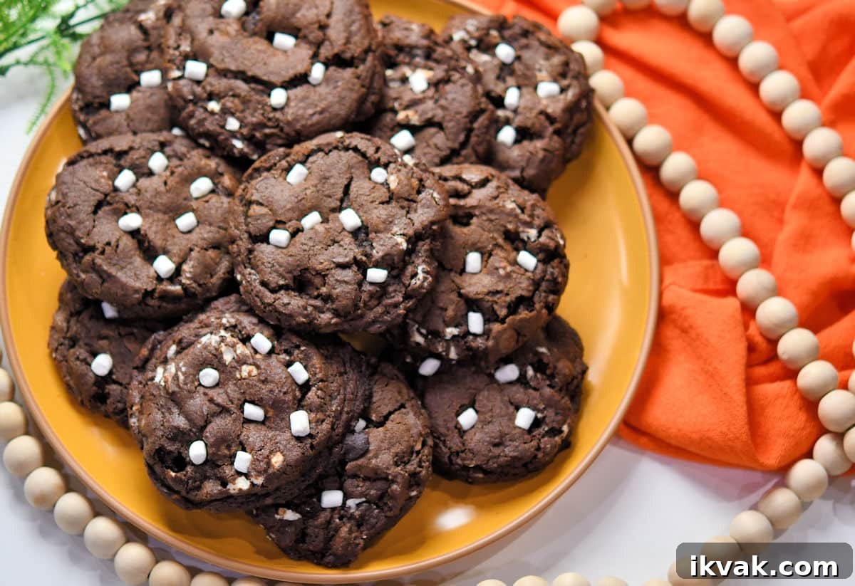 Marshmallow Chocolate Cookies Recipe