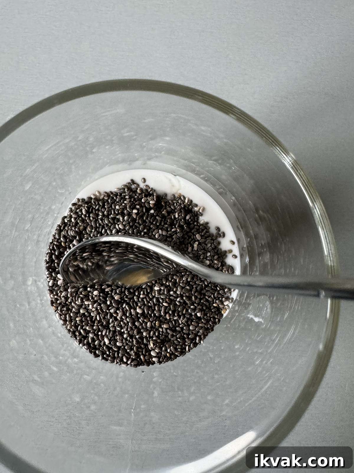 chia seeds and milk