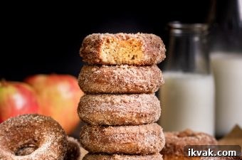 Cinnamon Apple Cider Baked Donuts Recipe 7 Baked Apple Cider Donuts stacked with bite out of top
