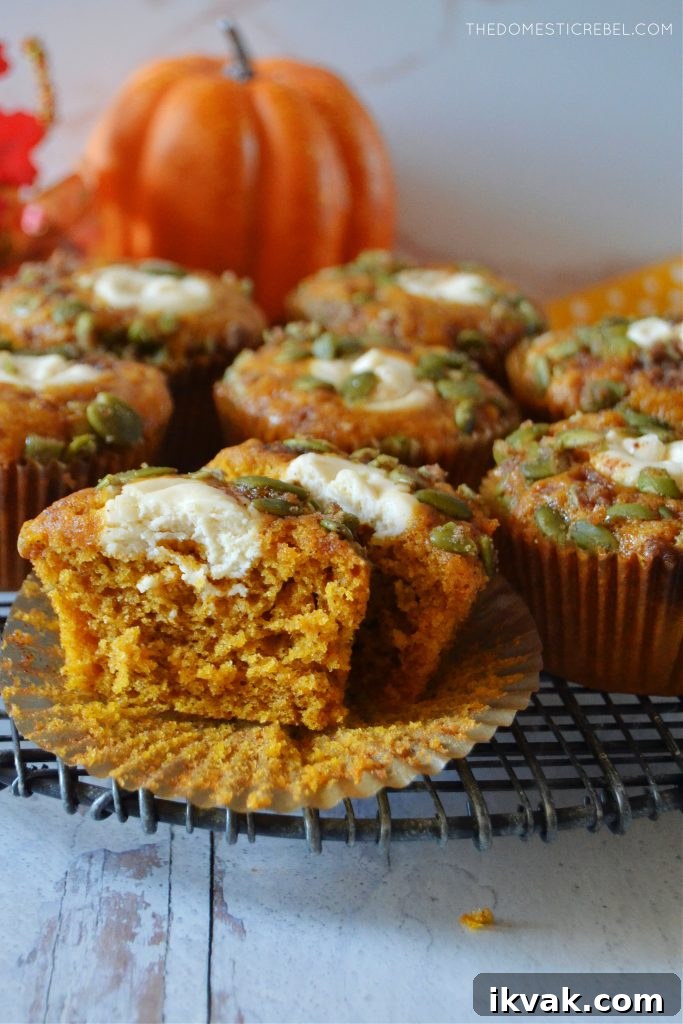 Pumpkin Cream Cheese Muffins with Swirled Filling Recipe 3 pumpkin cream cheese muffins arranged on a black wire rack with a pumpkin in the background