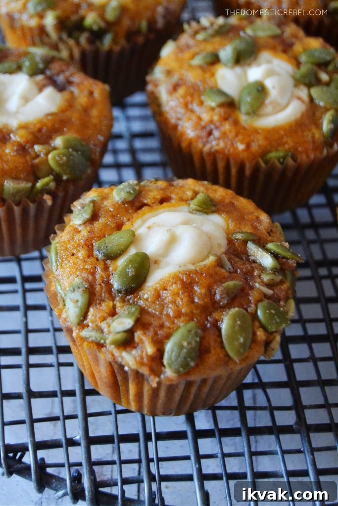 Pumpkin Cream Cheese Muffins with Swirled Filling Recipe 4 closeup of a pumpkin cream cheese muffin on a black wire rack to show the top of the muffin