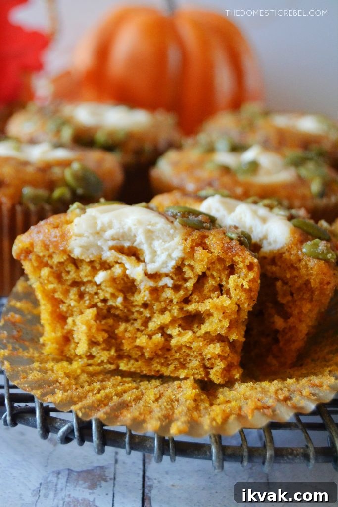 Pumpkin Cream Cheese Muffins with Swirled Filling Recipe 6 closeup of a split open pumpkin cream cheese muffin to show texture inside