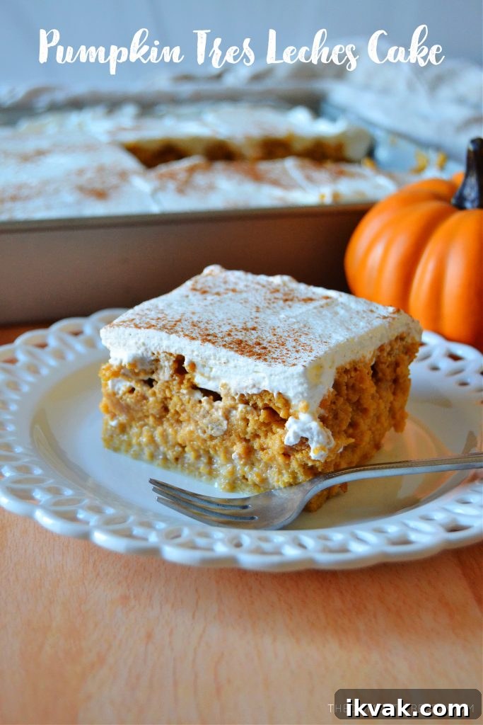 Pumpkin Cream Cheese Muffins with Swirled Filling Recipe 7 pumpkin spice tres leches cake square slice on a white lace plate with a fork