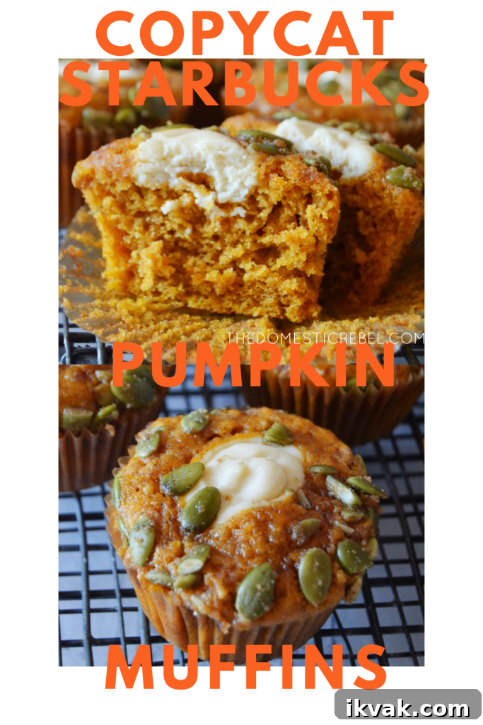 Pumpkin Cream Cheese Muffins with Swirled Filling Recipe 8 Copycat Starbucks Pumpkin Muffins photo collage