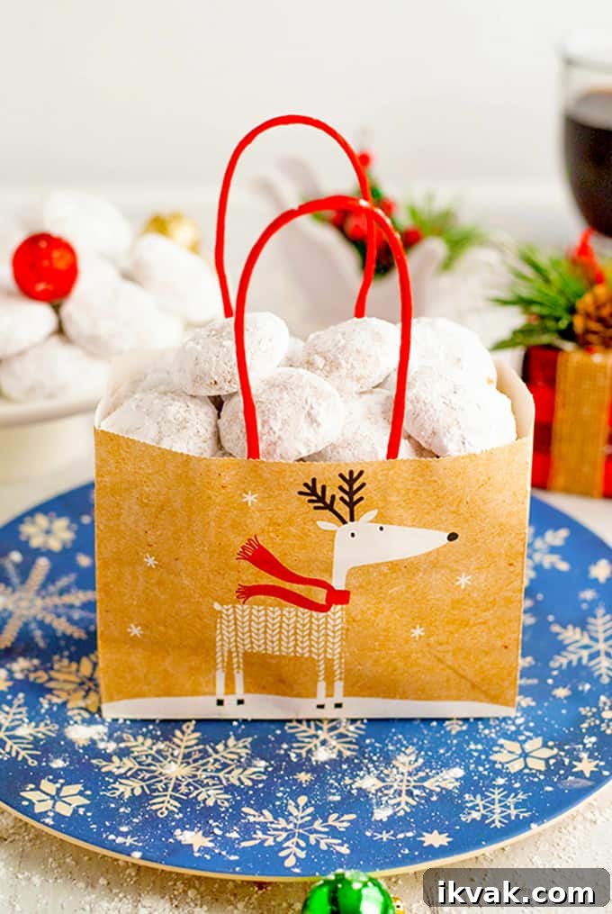 Pfeffernüsse: Traditional German Christmas Spice Cookies 11 A bag of Christmas cookies