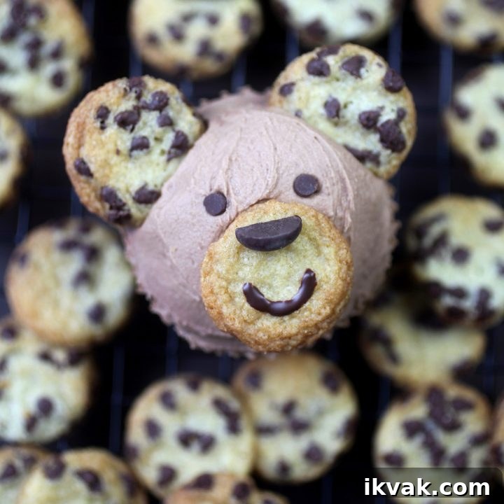 Chocolate Chip Cubcakes