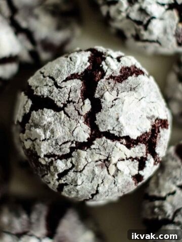 baked chocolate crinkle cookies, close up on crinkle cracks
