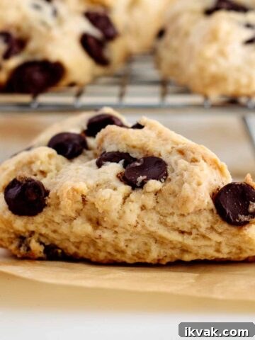 chocolate chip cookie scone close up