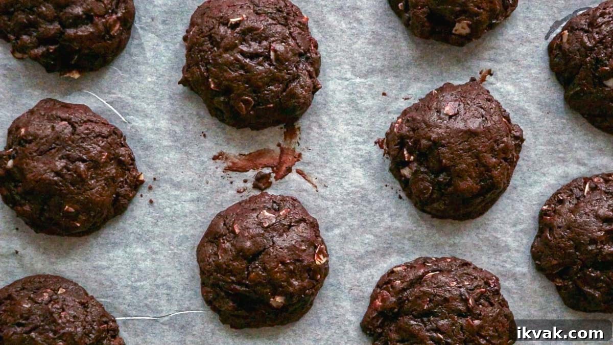 Baked chocolate cookies.