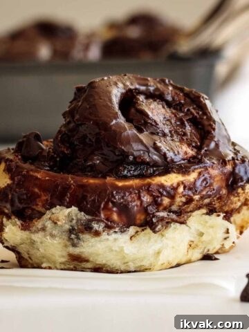 Nutella chocolate roll close up.
