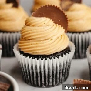 Chocolate cupcakes frosted with peanut butter frosting and topped with Reese's peanut butter cups.