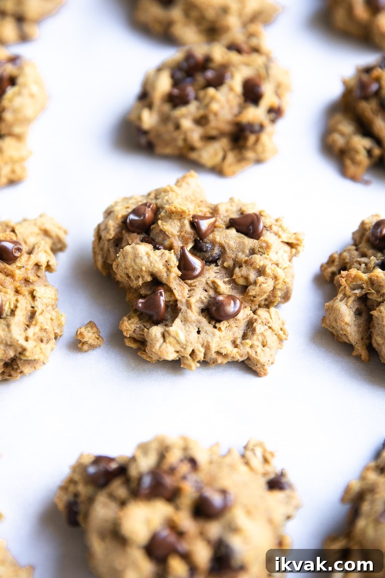 parchment paper covered with rows of Pumpkin Oatmeal Chocolate Chip Cookies