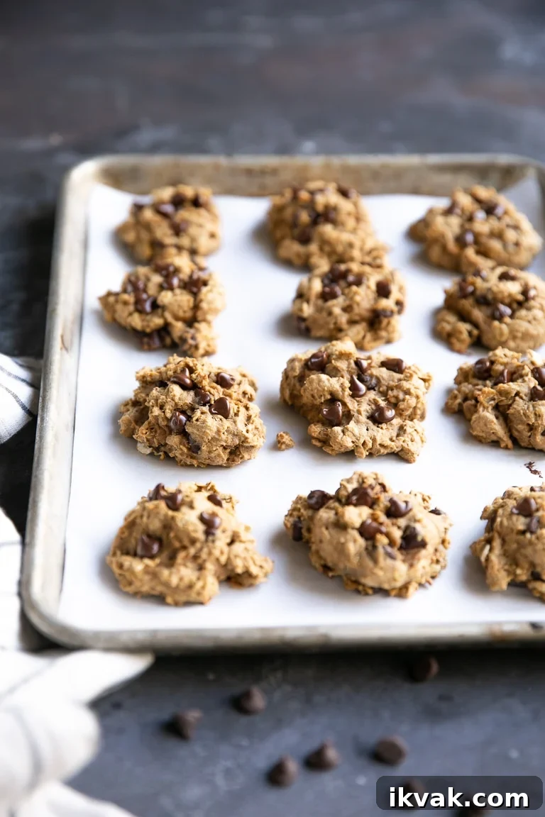 pumpkin chocolate chip cookies on baking sheet