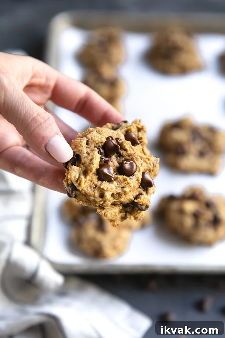 hand holding pumpkin chocolate chip cookie