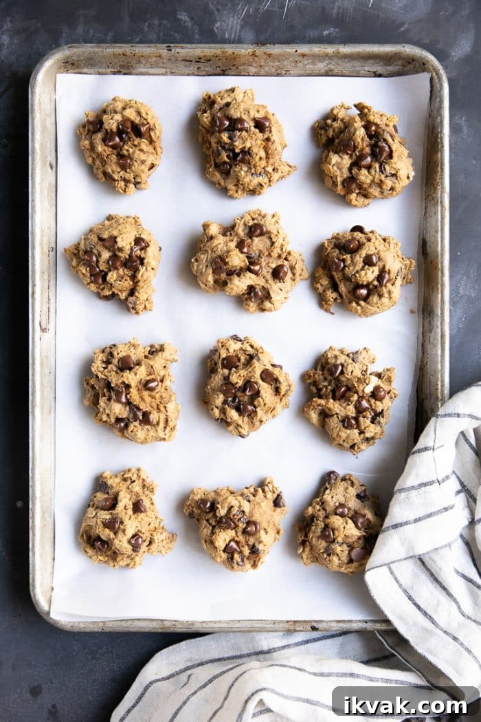 A tray Pumpkin Oatmeal Chocolate Chip Cookies