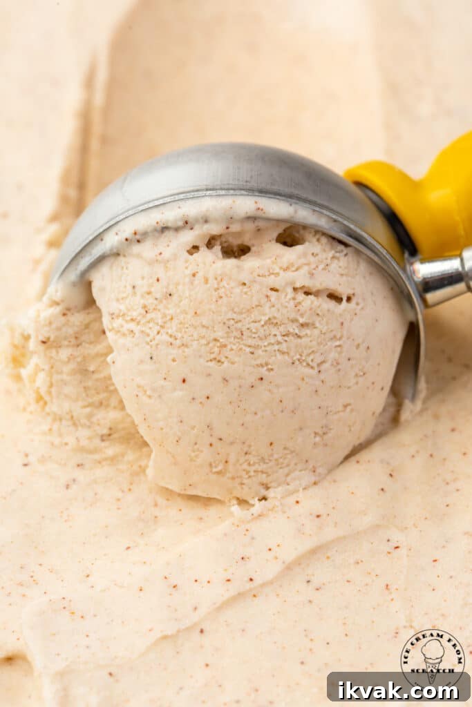 a metal ice cream scoop serving homemade cinnamon ice cream