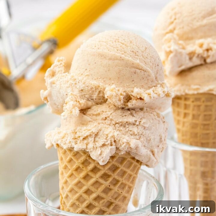 a sugar cone with two scoops of homemade cinnamon ice cream, propped up in a glass.