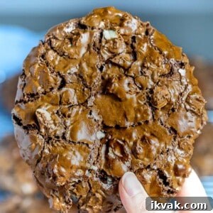 big chocolate cookie held in hand