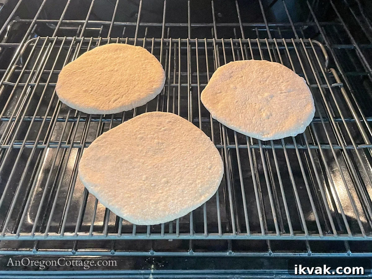 Homemade Whole Wheat Pita Bread Recipe — Soft & Fluffy 12 uncooked pita rounds into oven rack