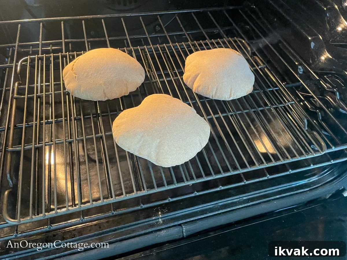 Homemade Whole Wheat Pita Bread Recipe — Soft & Fluffy 13 puffed cooked pita in oven