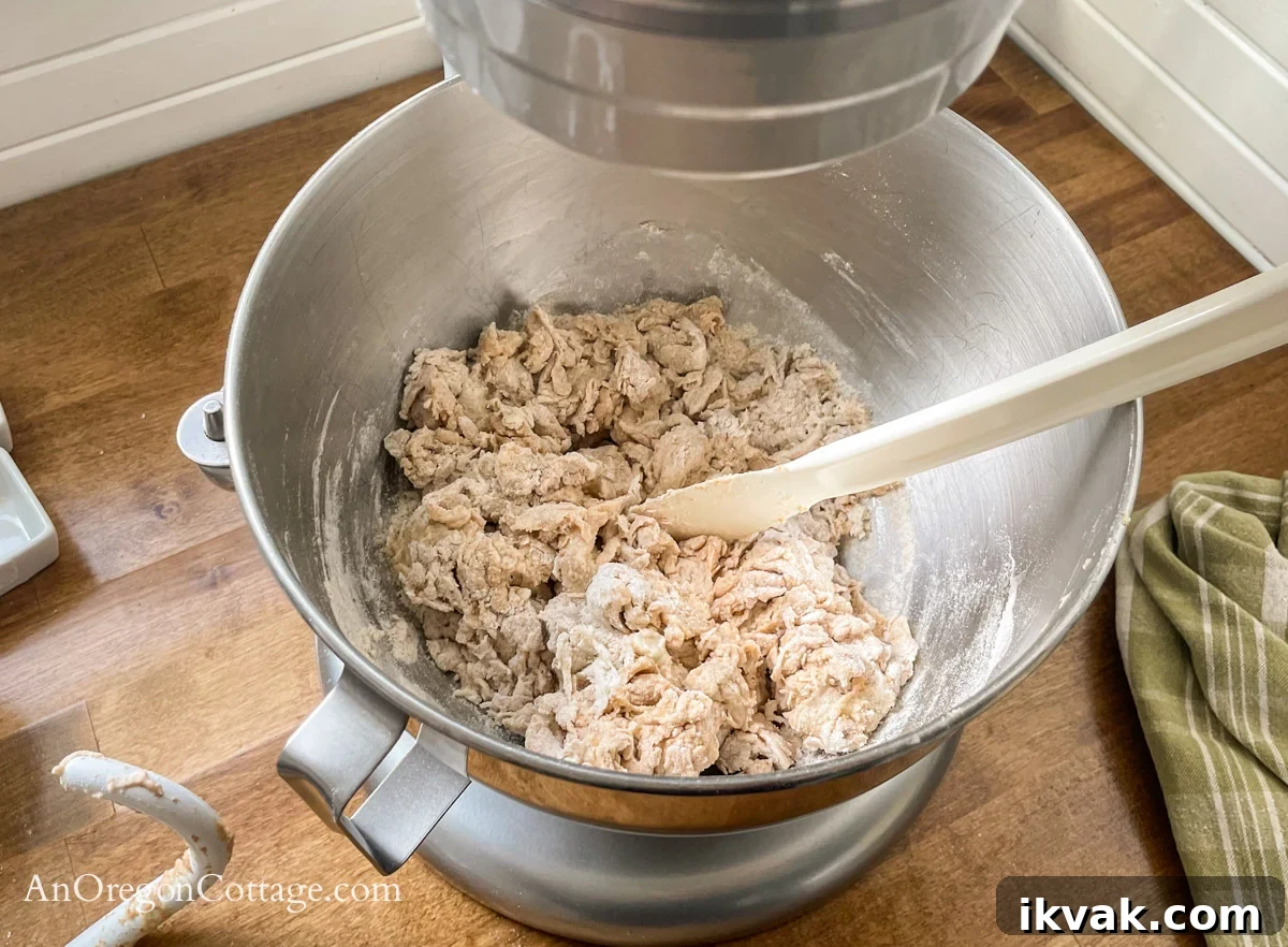 Homemade Whole Wheat Pita Bread Recipe — Soft & Fluffy 5 pita shaggy dough mixed in mixer bowl