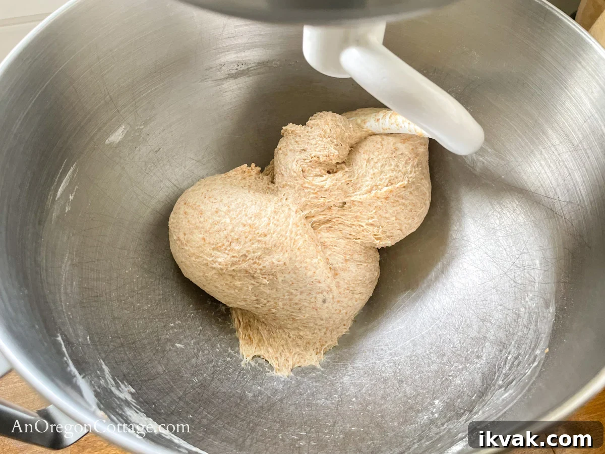 Homemade Whole Wheat Pita Bread Recipe — Soft & Fluffy 6 kneaded pita bread dough in mixer
