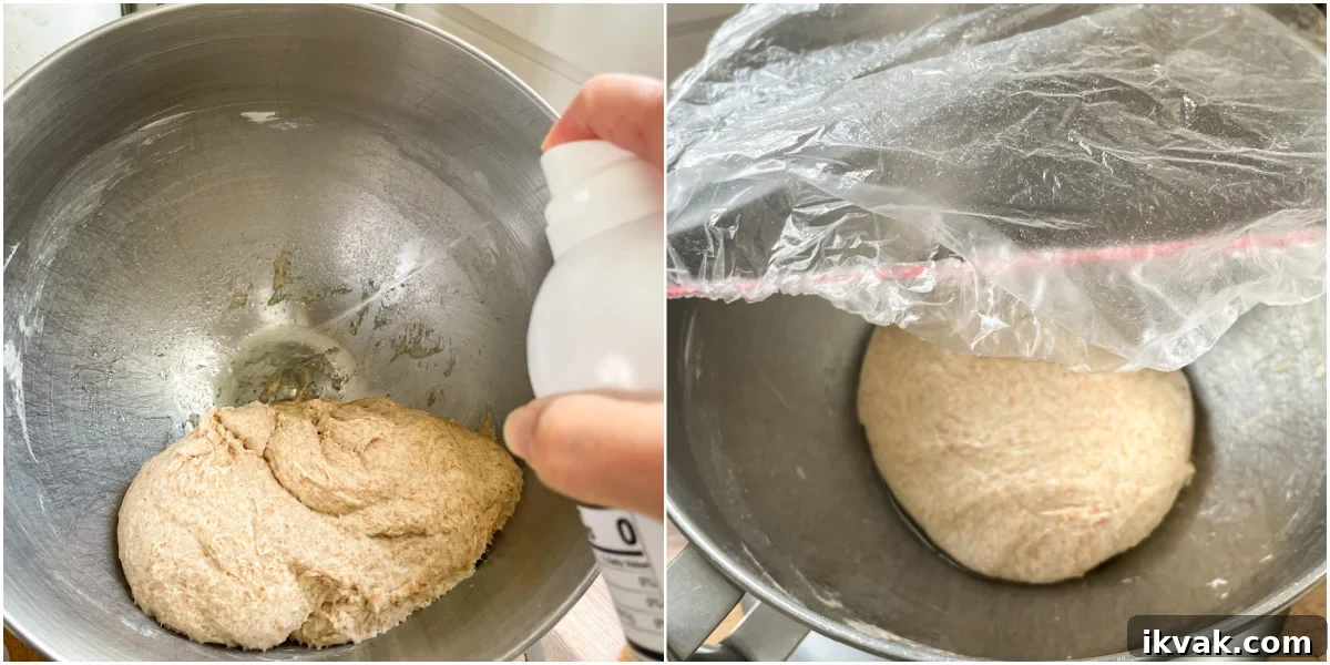 Homemade Whole Wheat Pita Bread Recipe — Soft & Fluffy 8 pita bread dough rising tips in mixer