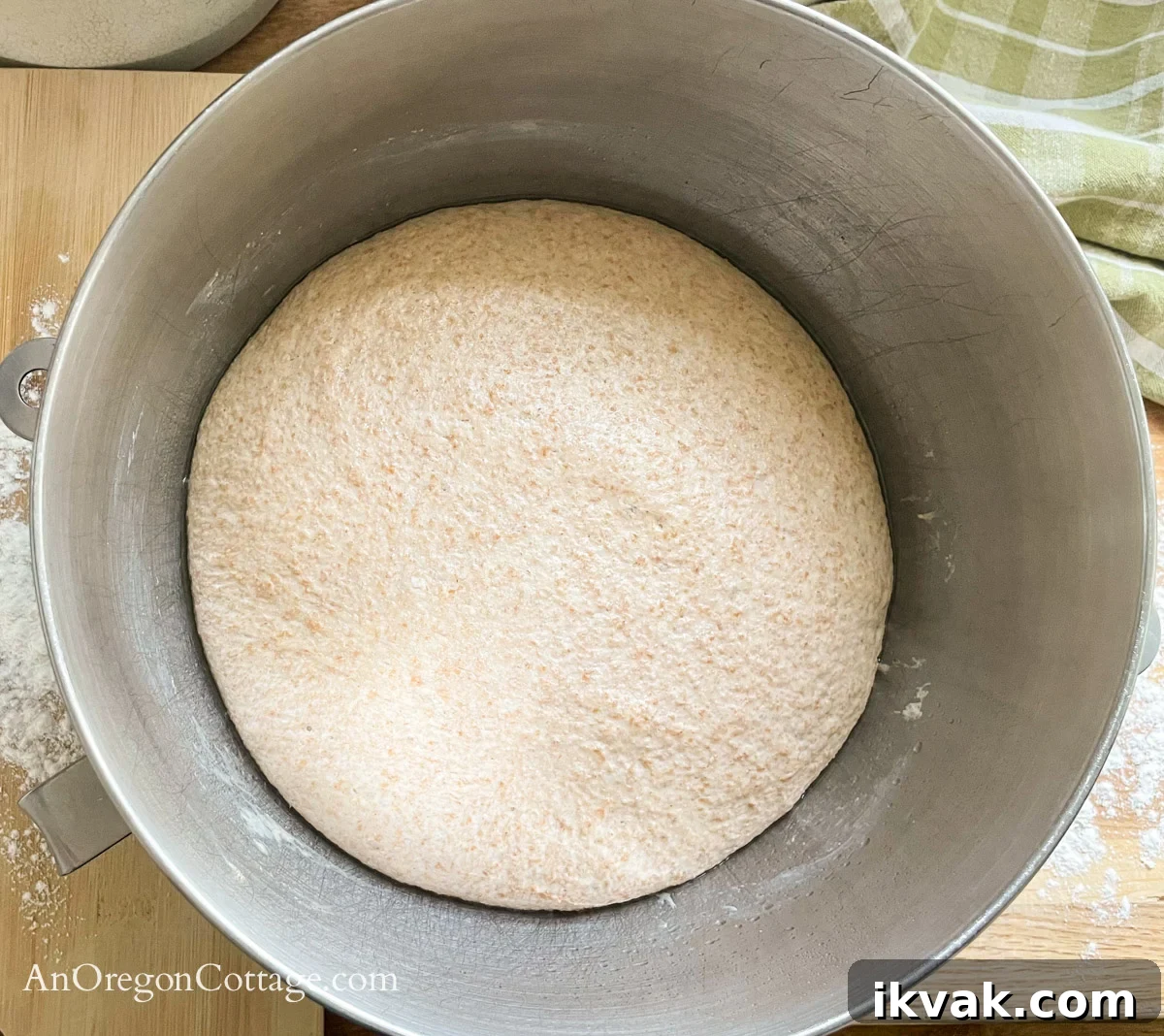 Homemade Whole Wheat Pita Bread Recipe — Soft & Fluffy 9 pita bread dough after rising