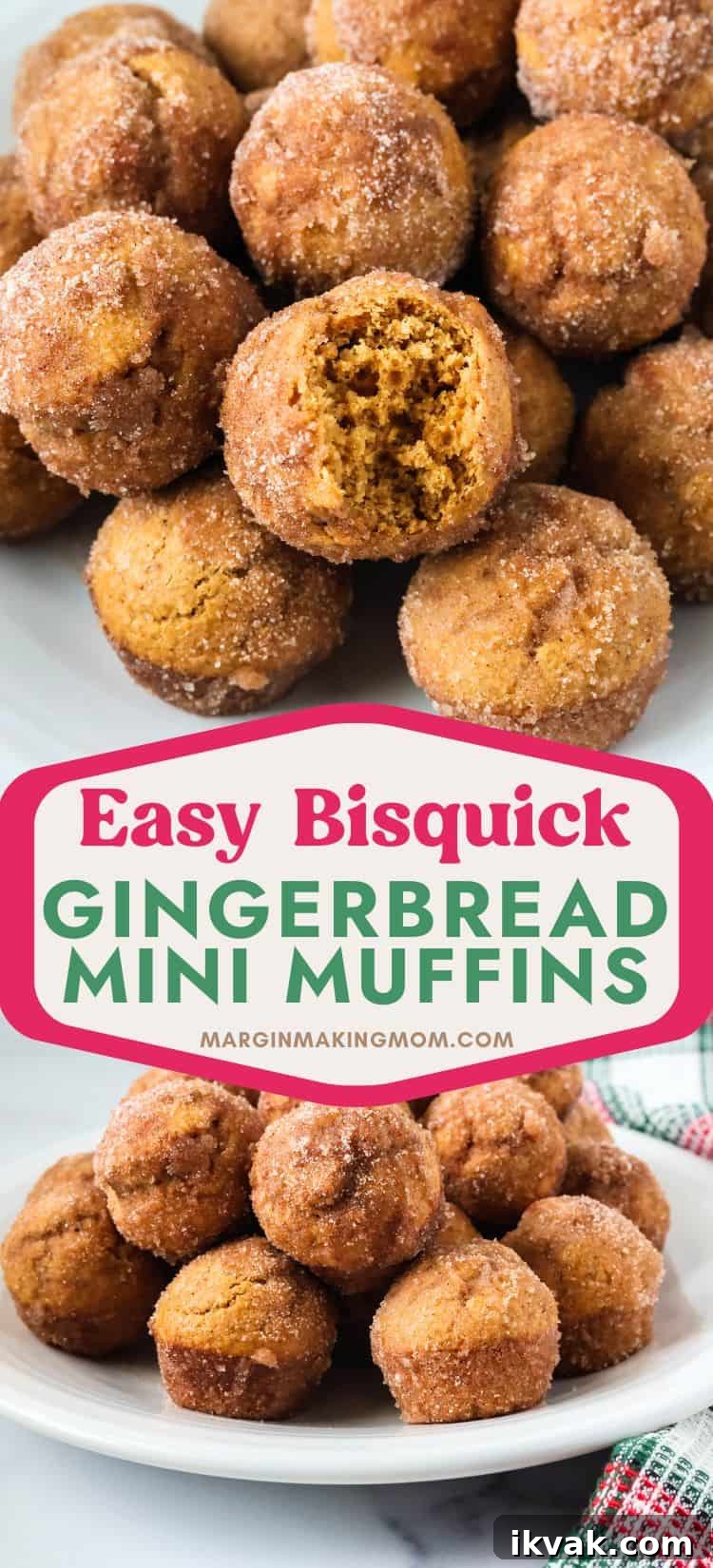 two photos; one shows Christmas gingerbread donut holes, with one having a bite taken out of it; the other shows the donut mini muffins on a white plate.