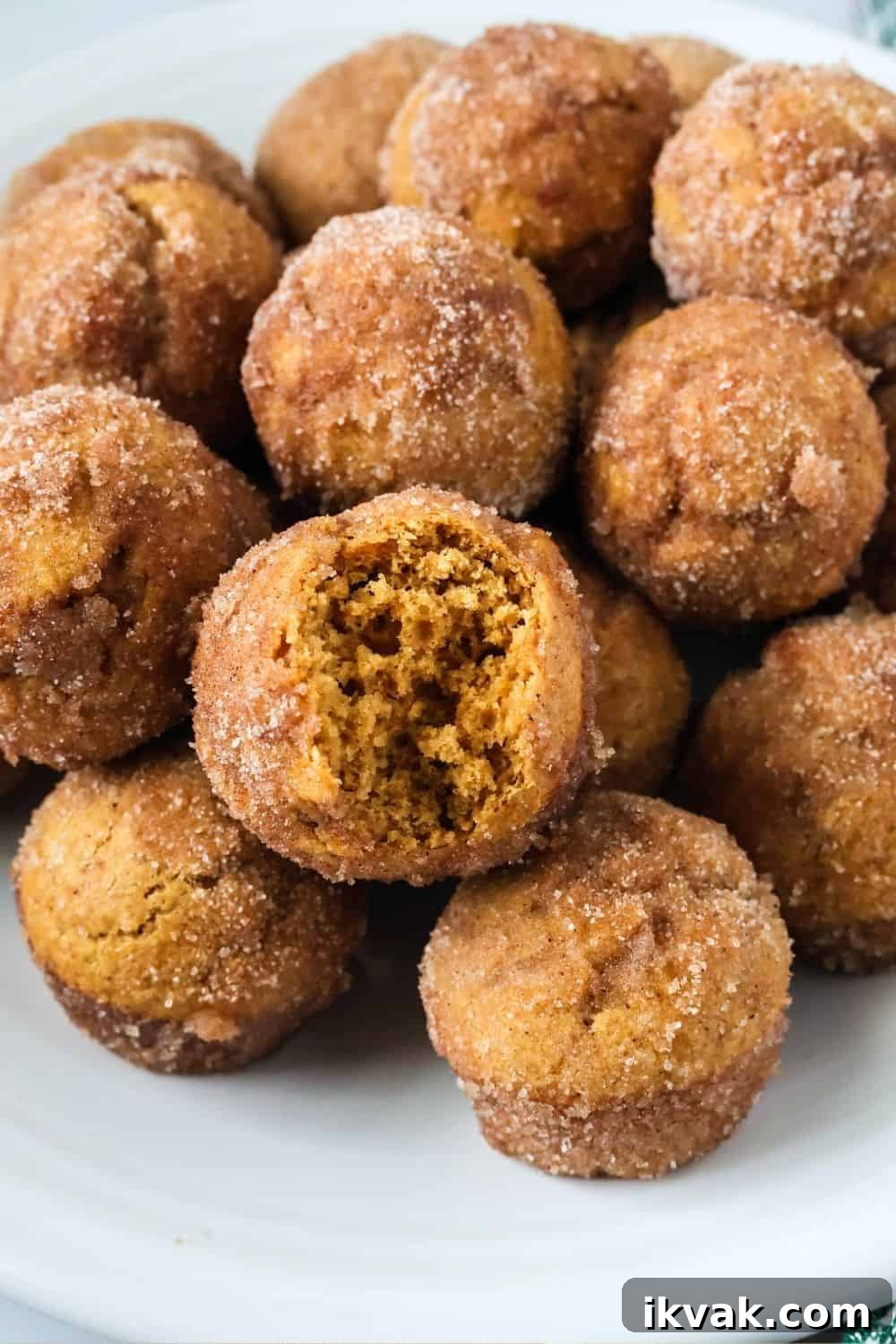 Bisquick gingerbread donut bites on a white plate, one of which has a bite taken out of it, showing the moist interior.