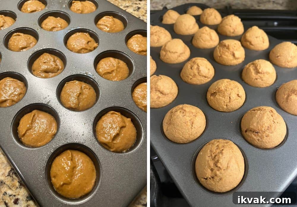 two photos; one shows gingerbread batter in a mini muffin pan; the other shows freshly baked mini muffin gingerbread donut holes in the pan.