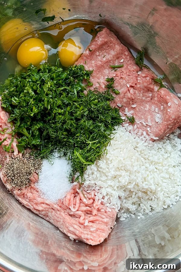 ingredients for Romanian meatball soup