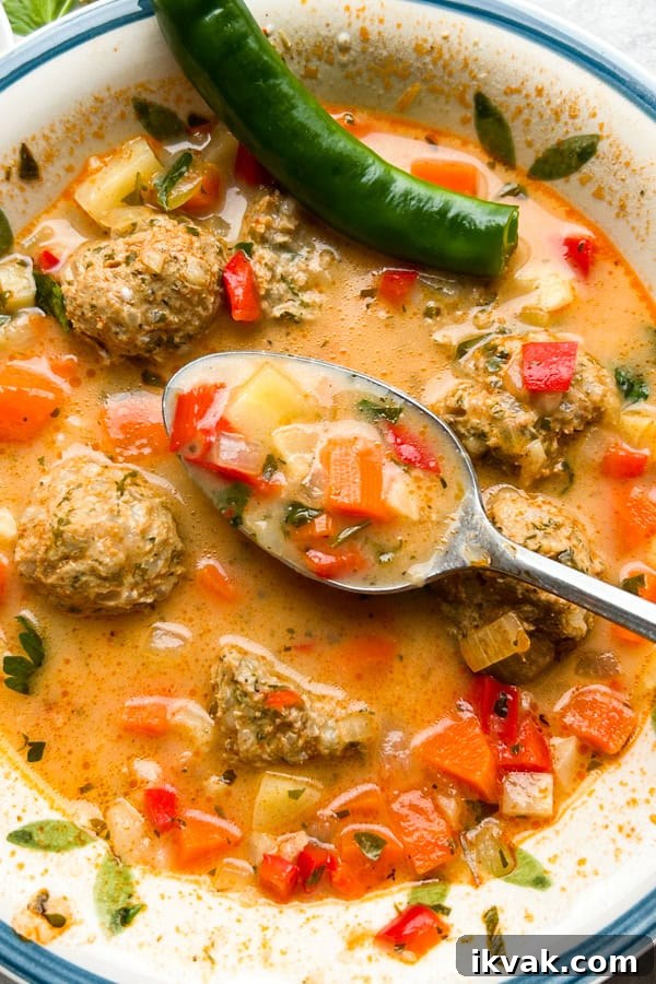 Romanian Meatball Soup Ciorba de Perisoare Recipe