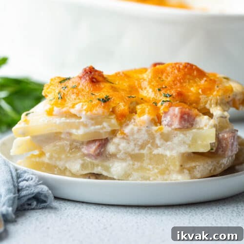 scalloped potatoes and ham topped with cheese on a small white plate.